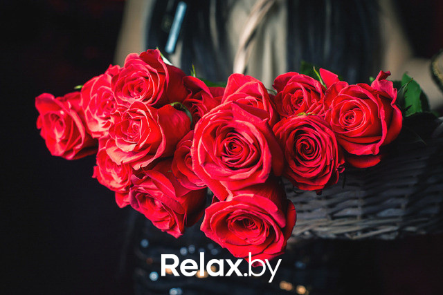 Next Club Show, фото № 21