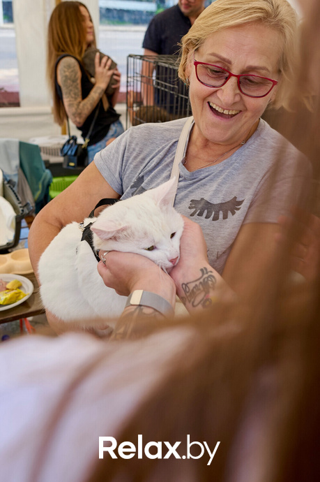 Акция пушистого добра, фото № 99