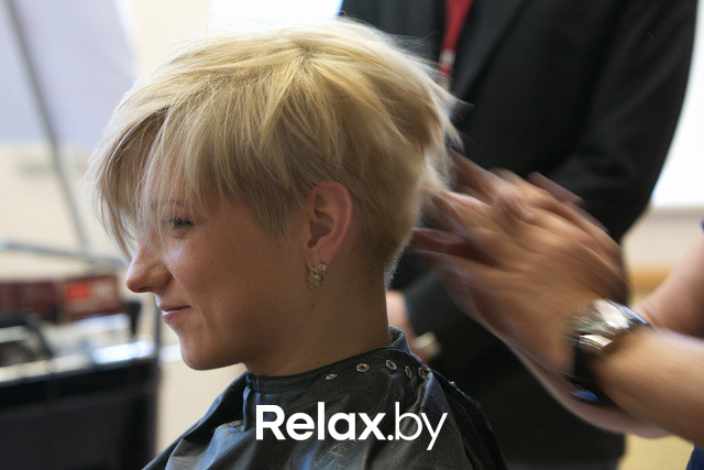 Семинар для парикмахеров "CHI Cut & Color Trends 2013", фото № 54