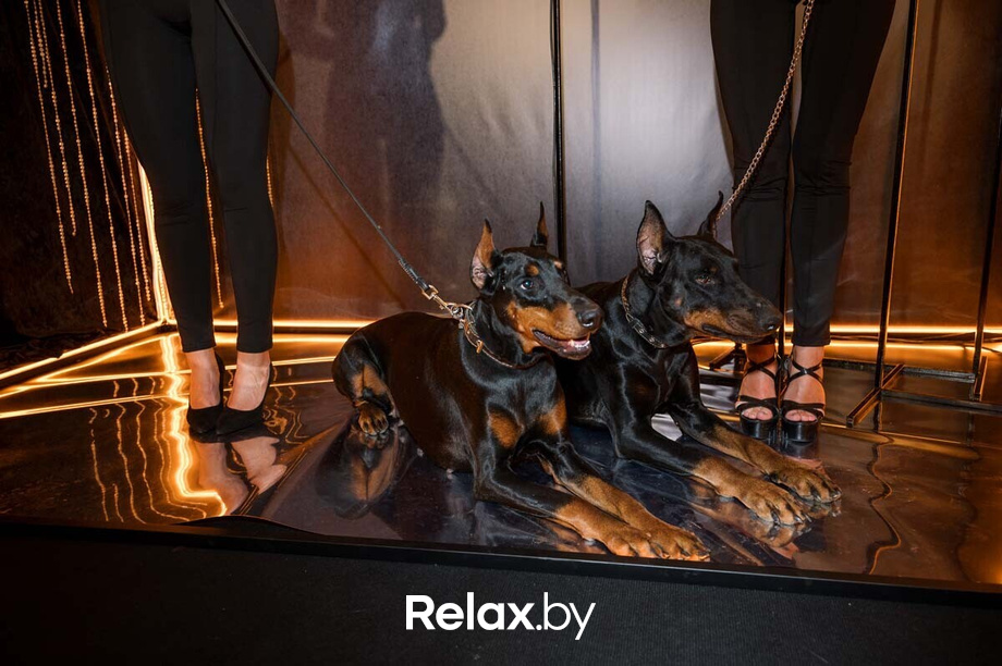 День рождения лаунж-ресторана NEFT, фото № 30