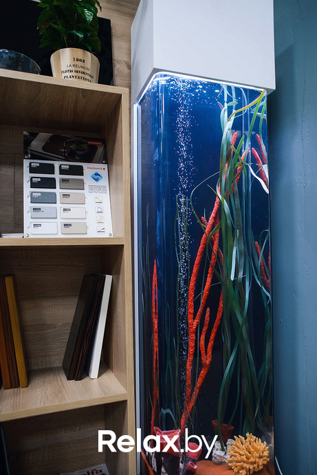 Открытие магазина немецкой техники  Zuchel Kuche, фото № 78