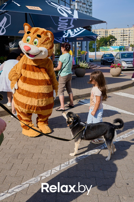 Акция пушистого добра, фото № 104