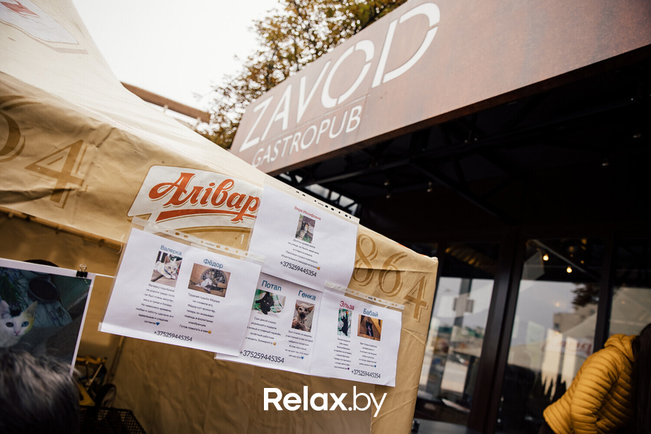 Благотворительная акция пушистого добра, фото № 32