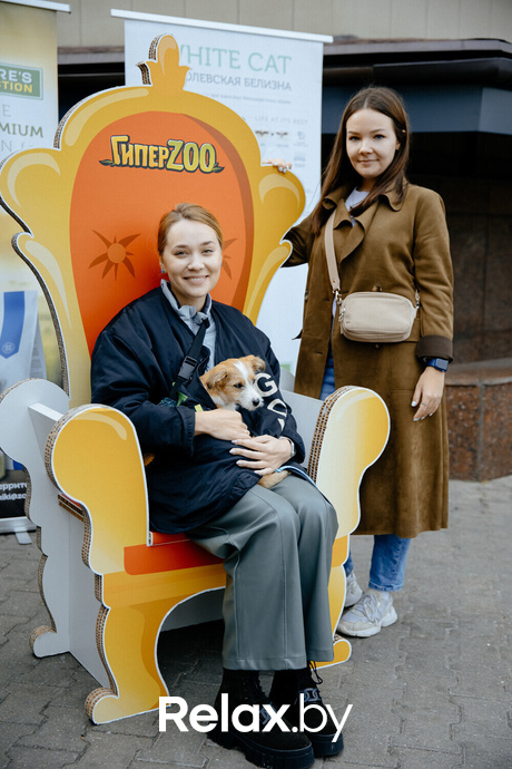 Благотворительная акция пушистого добра, фото № 78