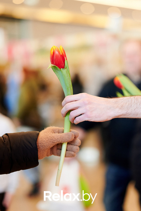 8 марта в ТРЦ Galleria Minsk, фото № 146