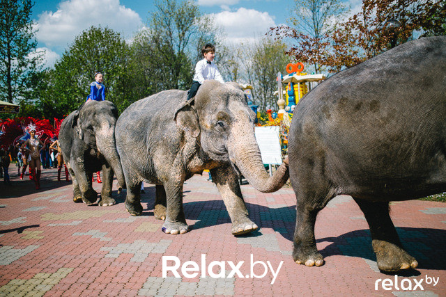 Лучшие фото за апрель, фото № 68