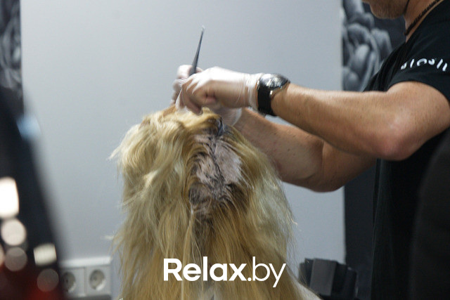 Семинар для парикмахеров "CHI Cut & Color Trends 2013", фото № 45