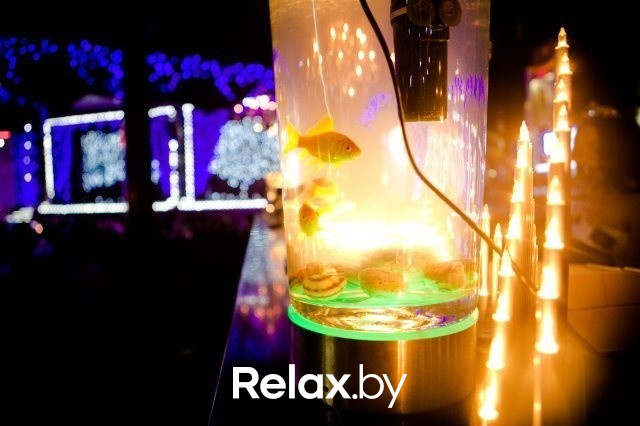 Золотые голоса, фото № 64