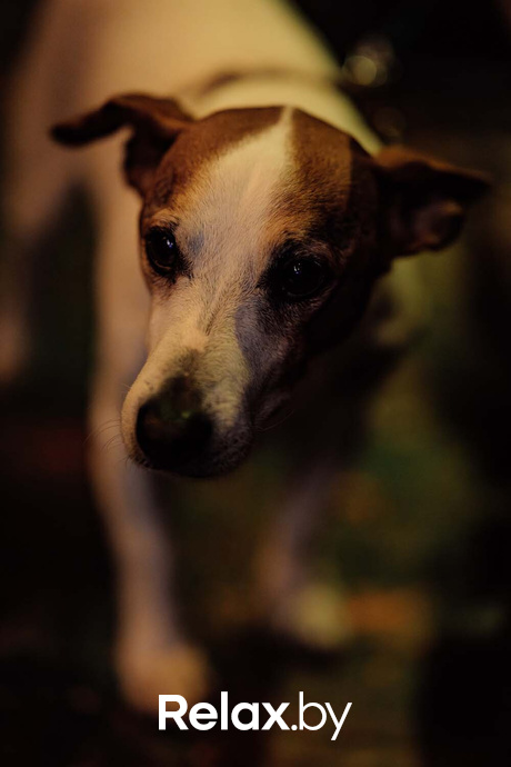 Live Music, фото № 28