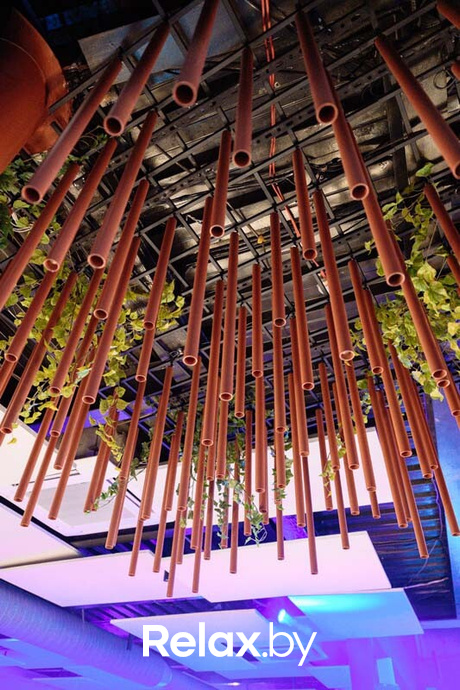 Terra party, фото № 59