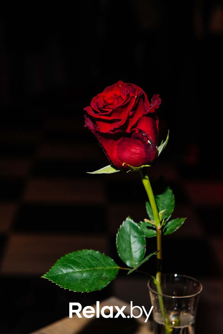 Гламурные разборки Дона Мафии, фото № 115