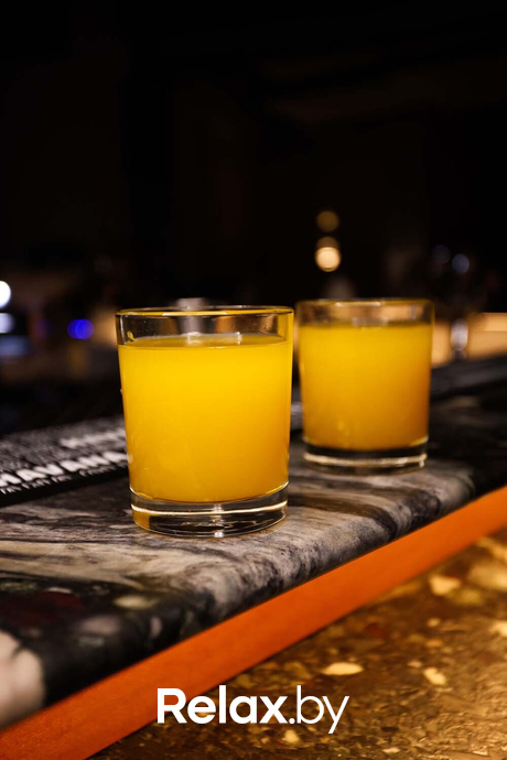 Terra party, фото № 38