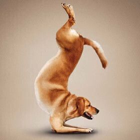 7 марта в Минске состоится Yoga-марафон 2015