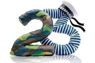 В каких странах отмечают 23 февраля?