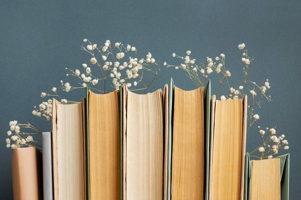 Куда сдать ненужные книги: в OZ стартовала акция «Добрая полка»