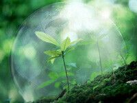 Всемирный день окружающей среды