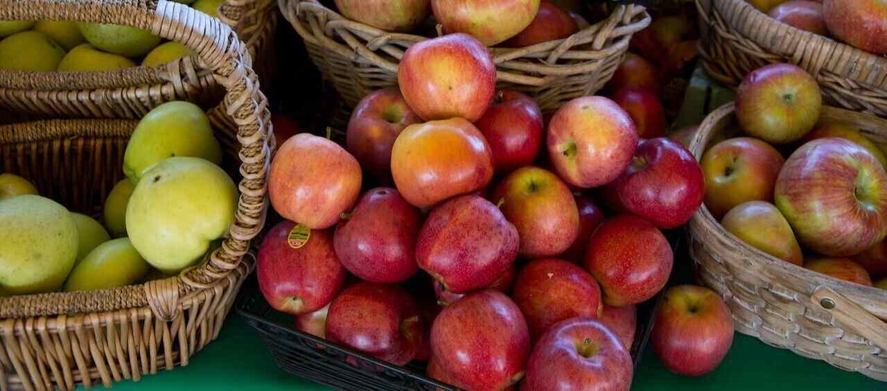 Как приготовить домашнюю пастилу в духовке: рецепты