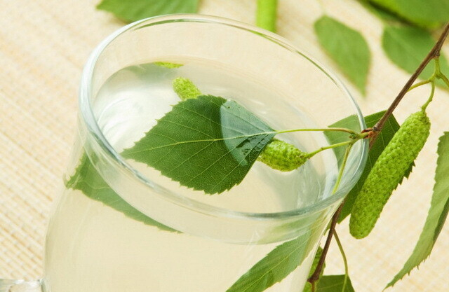 Рецепты кваса из березового сока