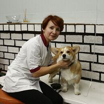 Сергейчик Алла Валентиновна