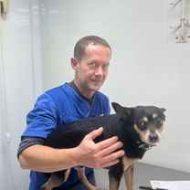 Токарев Владислав Викторович