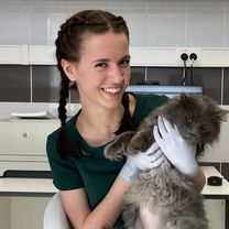 Бабаева Виталина Руслановна