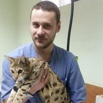 Соболев Константин Игоревич