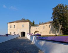 Музей Историко-археологический музей (Старый Замок), Старый замок - фото 3