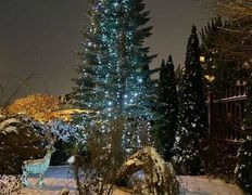 Сауна люкс VIP сауна на Явара и Калины, Интерьер - фото 7