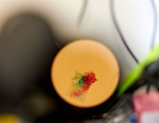 Лаборатория ПрофЛабДиагностика, Галерея - фото 17