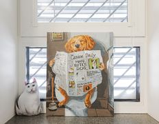 Ветеринарная клиника Компаньон, Интерьер - фото 2