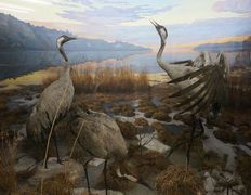 null Музей природы и экологии, Музей - фото 1