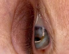 Салон красоты Лерэн Стиль, Брови / Ресницы - фото 9