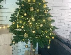 Кафе Арена пицца, Новый год 2026 - фото 3