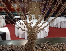 Банкетный зал Дворец Республики,  Зал Палац - фото 6