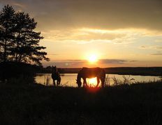 Центр верховой езды Двор Старинки, Походы - фото 8