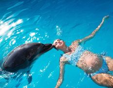 null Минский дельфинарий, Галерея - фото 3