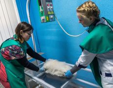 Ветеринарный центр КакадуВет, Галерея - фото 11