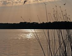 Рыболовно–туристический комплекс Кромань, Водоем, рыбалка - фото 2