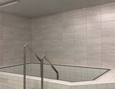 Национальный олимпийский стадион Динамо, Сауна - фото 2