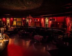 Кафе Jungle Lounge Cafe (Джангл Лаунж Кафе), Интерьер - фото 15