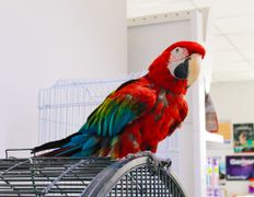 null Ветеринарный центр доктора Базылевского А.А. Филиал «Минск 24/7», Галерея - фото 1