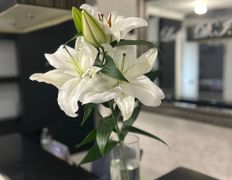 Студия массажа RESET.ME (РЕЗЕТ.МИ), Галерея - фото 18