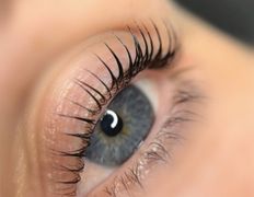 null Кабинет мастера по ламинированию бровей и ресниц Елены Воробьевой, Ресницы - фото 12