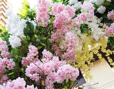 Гастропаб-караоке ОСОБНЯК, Терраса - фото 4