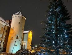 Сауна люкс VIP сауна на Явара и Калины, Интерьер - фото 8