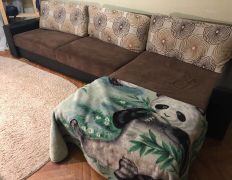 Химчистка ковров и мягкой мебели Cleanness (Клиннесс), Диваны - фото 7