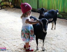 Торгово-развлекательный центр Титан, Всемирный день фотографа в ZOOпарке - фото 2