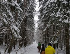 Центр верховой езды Двор Старинки, Походы - фото 3