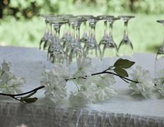 Кафе-банкетные залы Ребус, Выездная регистрация на площадке возле «Ребуса» - фото 12