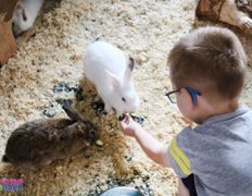 Торгово-развлекательный центр Титан, Всемирный день фотографа в ZOOпарке - фото 14